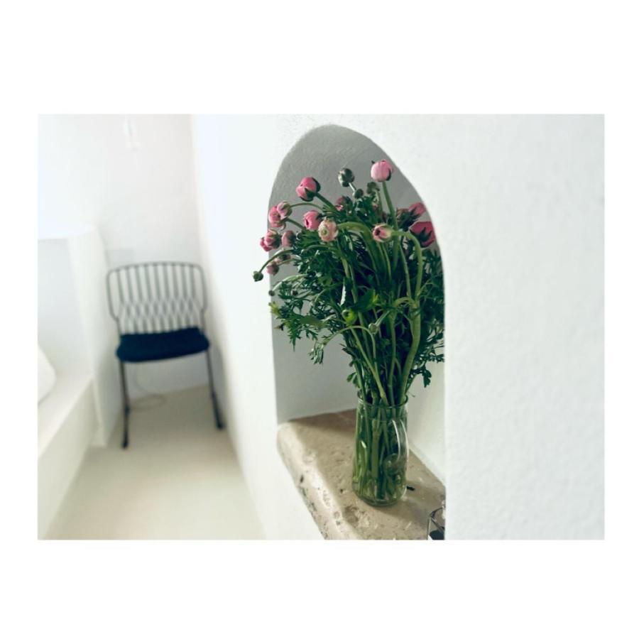 Hydria Guest House Art Gallery Acquaviva delle Fonti Exterior photo