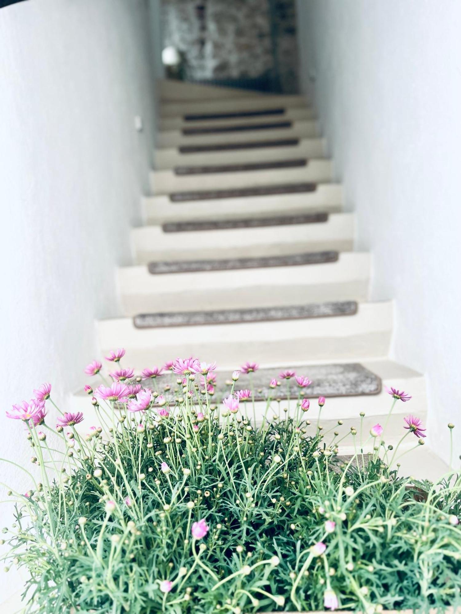 Hydria Guest House Art Gallery Acquaviva delle Fonti Exterior photo